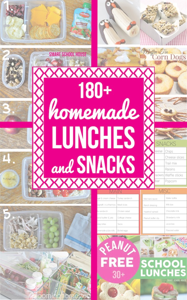 180-Homemade-Lunches2-copy